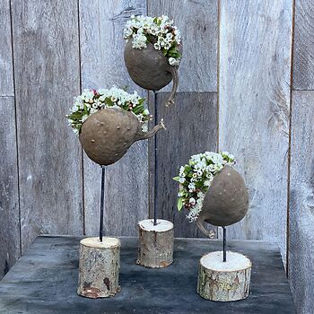 Les Gent 3 februari 2026 - namiddag