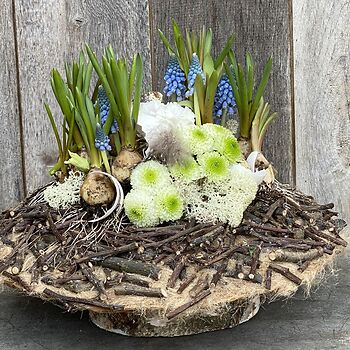 woensdag 18 maart 2026