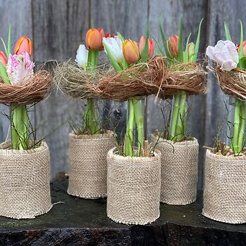 woensdag 16 april 2025