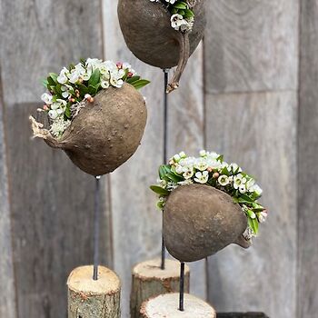 Les Gent 3 februari 2026 - avond