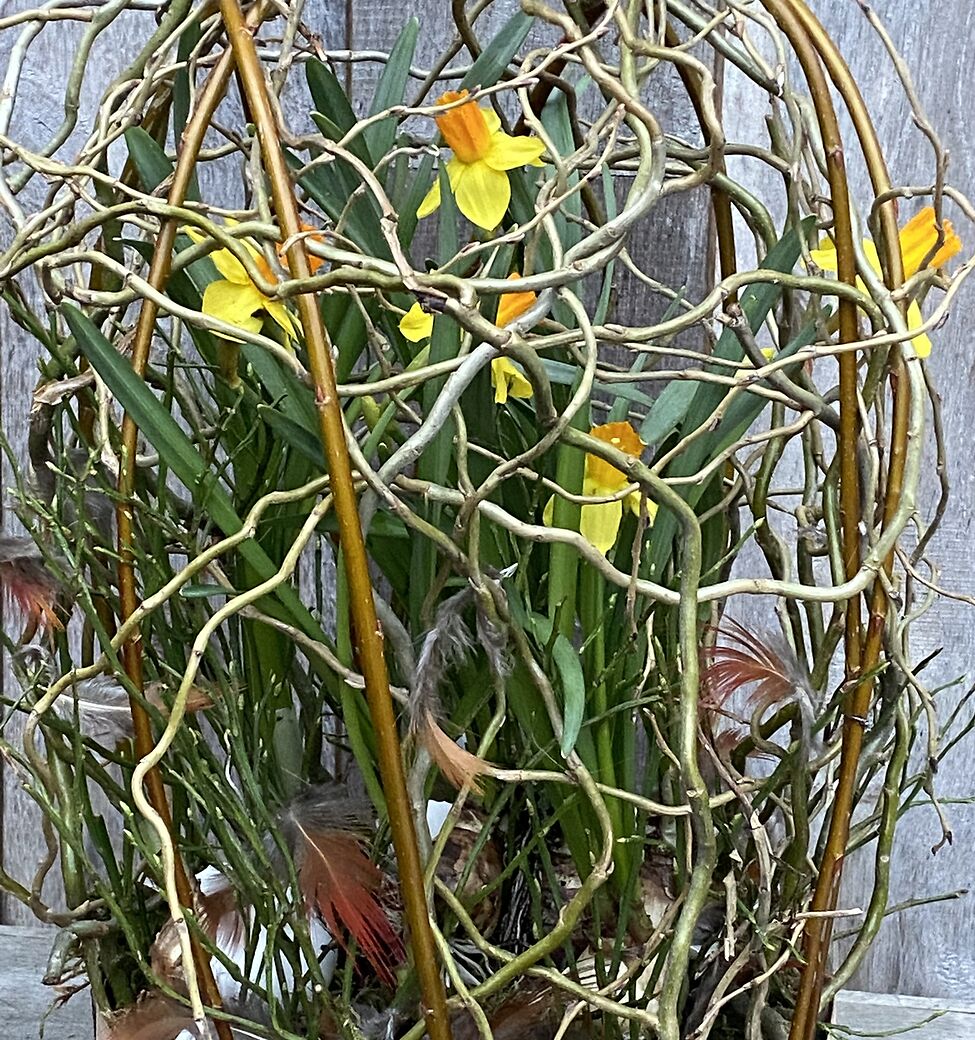 Les Gent 31 maart 2026 - avond