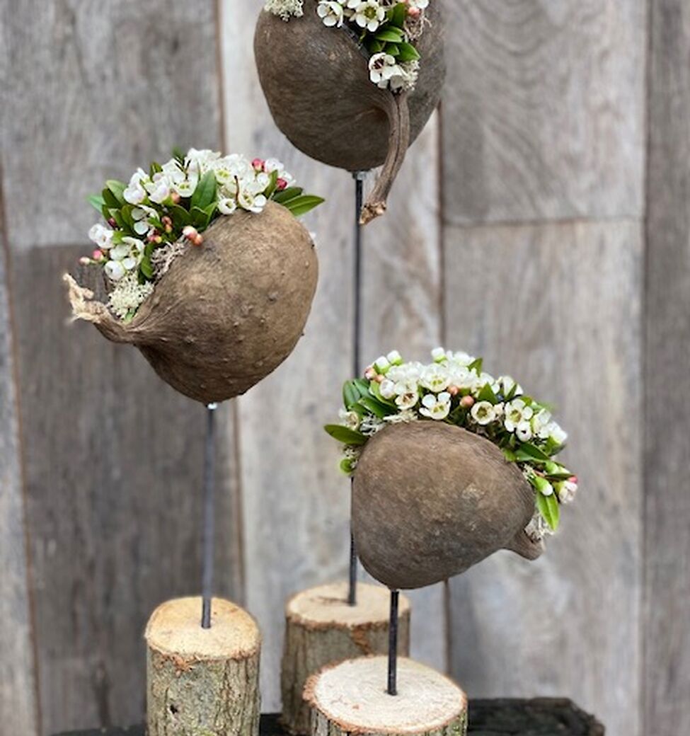 Les Gent 3 februari 2026 - avond